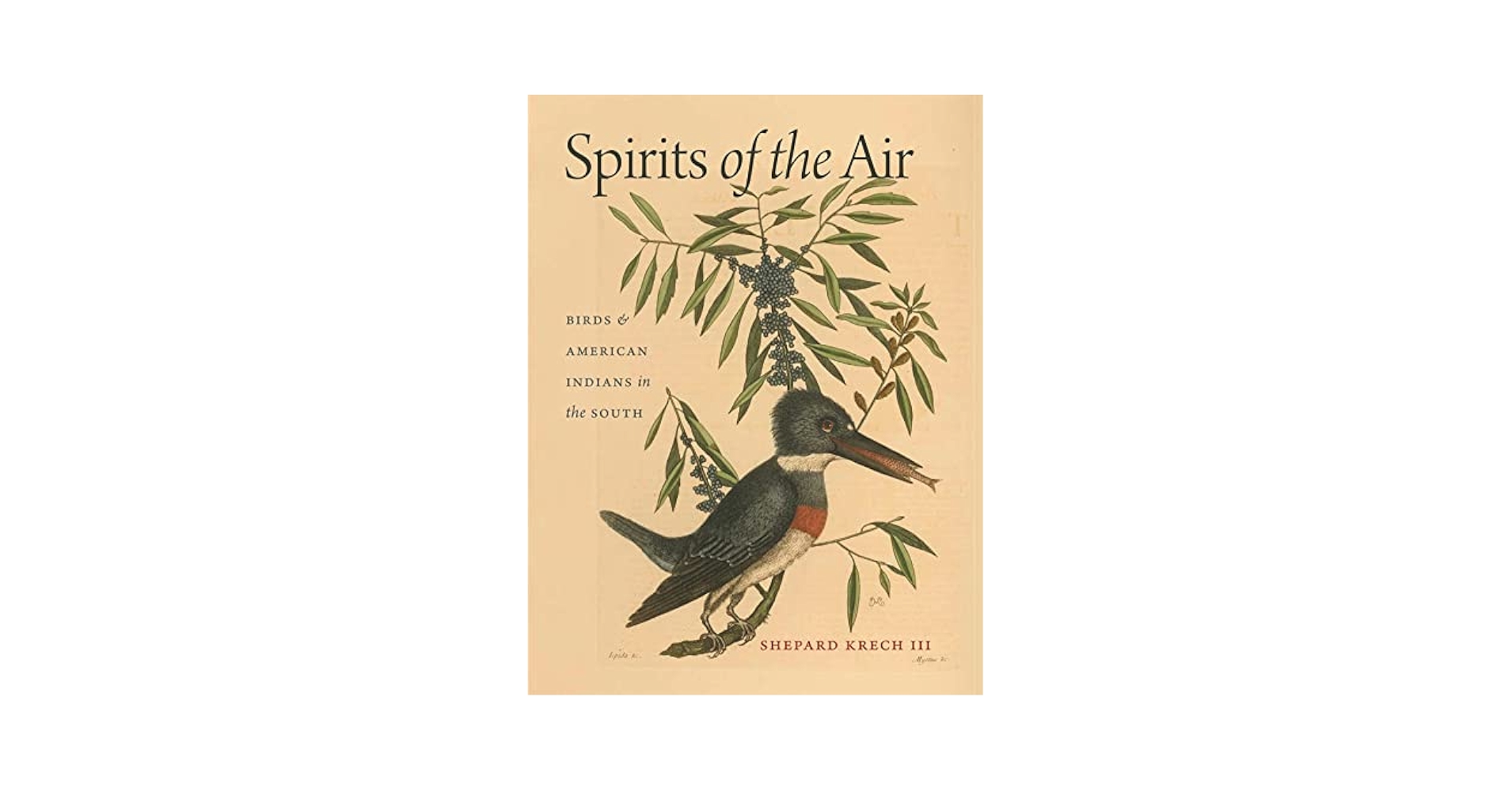 アート・デザイン・音楽 Spirits of the Air / Shepard Krech III Spirits of the Air: Birds and American Indians in the South