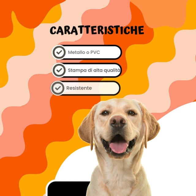 BOVARO DEL BERNESE Attenti Al Cane Morde Sbrana Uccide E Balla Sui Cadaveri (15X - Foto 11