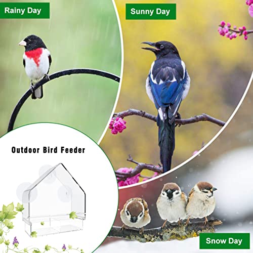 CHENYUY Mangiatoia per Uccelli Selvatici da