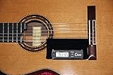 Oasis Hygrometer Holder for Guitar