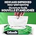 Cottonelle GentlePlus Flushable Wet Wipes with Aloe & Vitamin E - 2 Flip-Top Packs, 84 Total Flushable Wipes, 42 Count (Pack of 2)