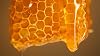 BellaVita Luxury Honey Oud Eau de Parfum | 100 ml | Perfume Unisex | Eau de Parfum de larga duración con notas de Miel, Bergamota, Oud y Ámbar para hombres y mujeres. 8
