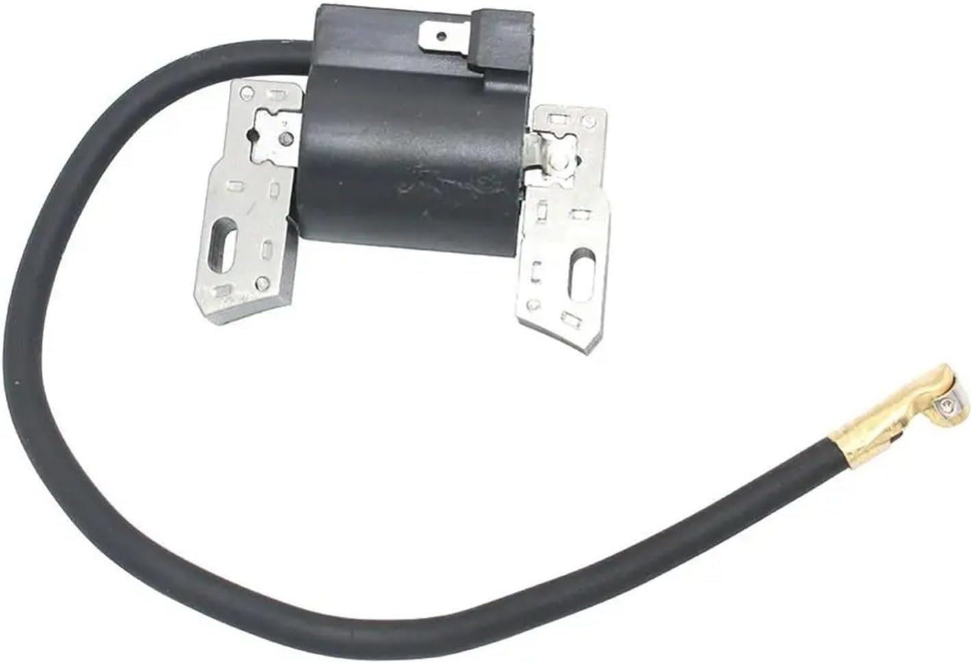 Ignition Coil Magneto Armature for B-rig and S-trat 591420 793281 793352 792594 395489 398593 496914