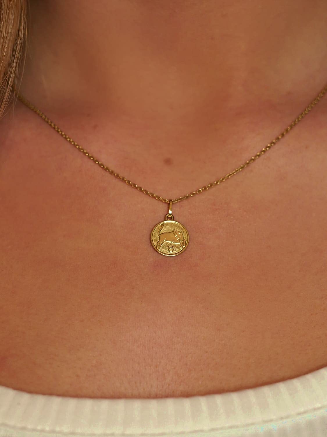 My Gold Pendentif signe du zodiaque taureau (sans chaîne) or jaune or véritable 333 (8 carats) Ø 12mm rond signes du zodiaque rond du zodiaque A-06017-G303-Sti