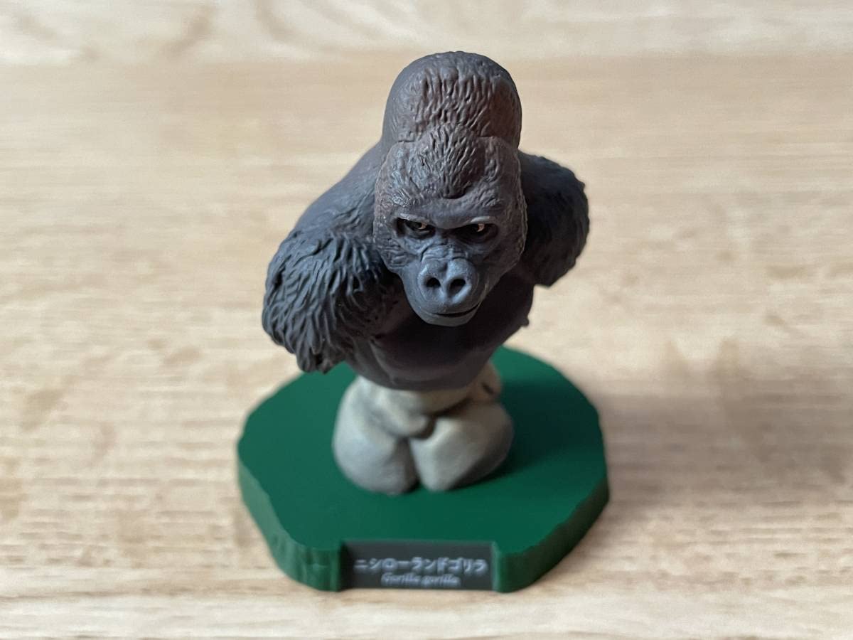 lulubell 豆ゴリラ lulubell 豆ゴリラ lulubell 豆ゴリラ