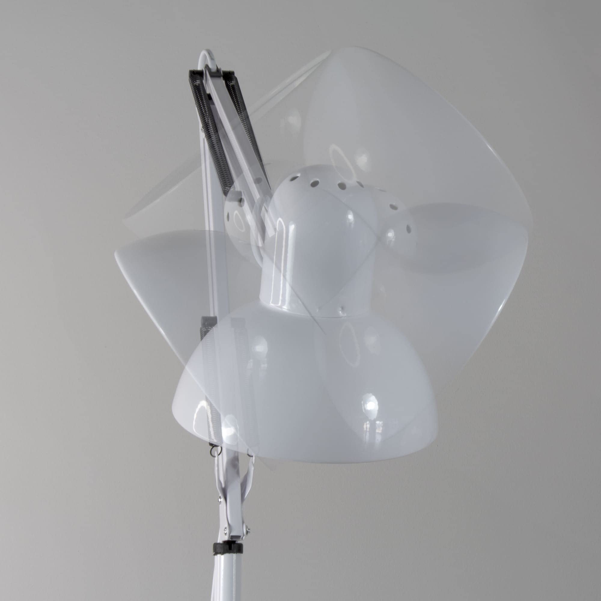 Wonderlamp - Lampada da terra articolata Avati, Lampada da terra bianca, Altezza regolabile, Corpo e testa articolabile, Lampadina 1xE27