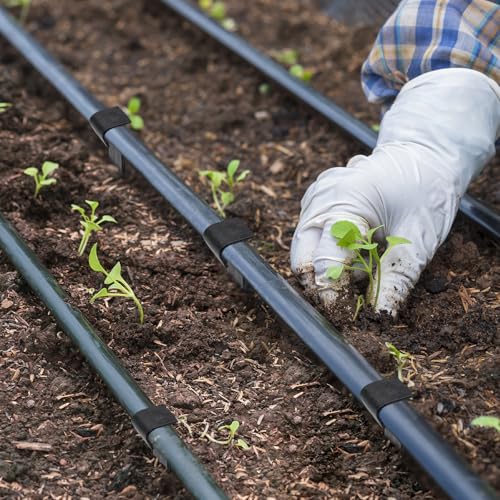 50PCS Ground Securing Pegs for Drip Irrigation Line Weeping Pipe Soaker Hose, 16mm Ground Stakes for Vegetable Gardens Flower Beds Planting Watering System Tools Lawn Garden Supplies 4 50PCS Ground Securing Pegs for Drip Irrigation Line Weeping Pipe Soaker Hose, 16mm Ground Stakes for Vegetable Gardens Flower Beds Planting Watering System Tools Lawn Garden Supplies - Image 4