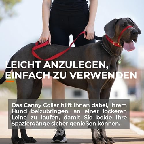 Canny Collar Hundehalfter – Anti-Zug Kopfgeschirr für Hunde | Stoppt Ziehen an der Leine sanft & effektiv | Trainingshilfe für entspannte Spaziergänge – Größe 2, Blau