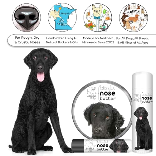 Image of The Blissful Dog Curly-Coat Retriever Unscented Nose Butter, 8-Ounce