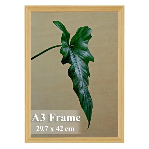 A3 Picture Frame, Wooden Poster Frame, 29.7x42cm Photo Frames for Display Family Pictures Wall Gallery Photo Frames Wall Mounting Horizontally or Vertically (Oak)