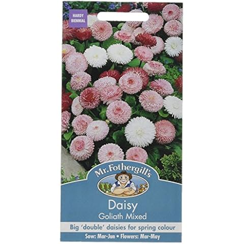 Mr Fothergill's Goliath Mixed Daisy Seeds Cover