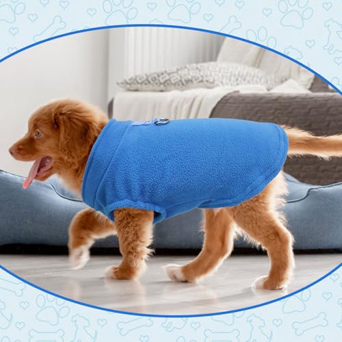 VOSSOT Hundepullover für Kleine Hunde - 2 Packungen Warmer Wintermantel Mit Hundeleine, Bauchschutz, Fleece und D-Ringen - Winterjacke (L)