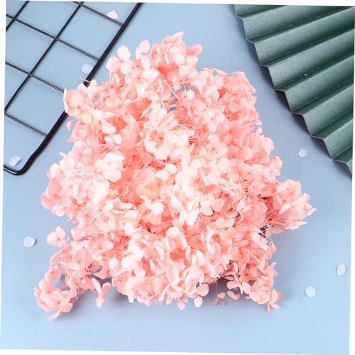 BESTOYARD paquete de pétalos de hortensia seca natural para artes miniatura 7