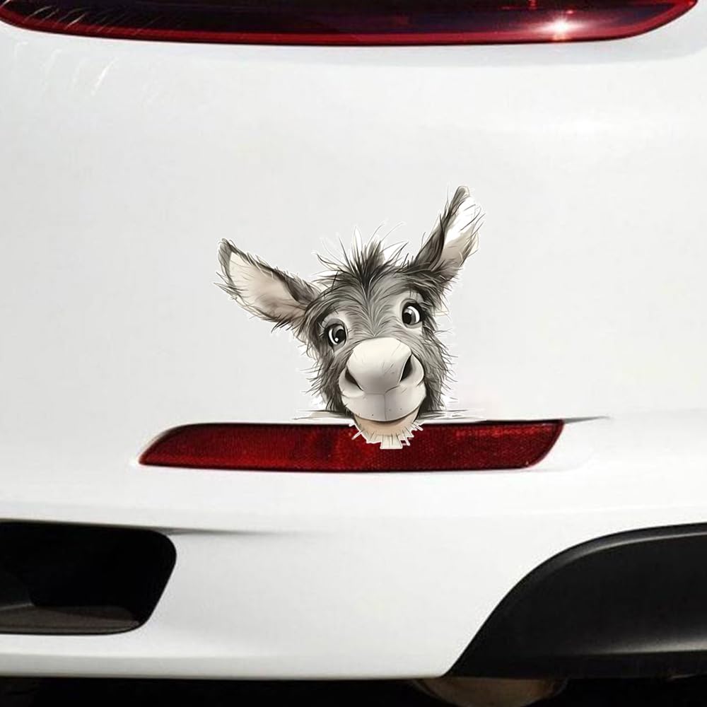 #DZ23 - Juego de 2 pegatinas divertidas para coche (13 x 12,5 cm), diseño de burro - 5