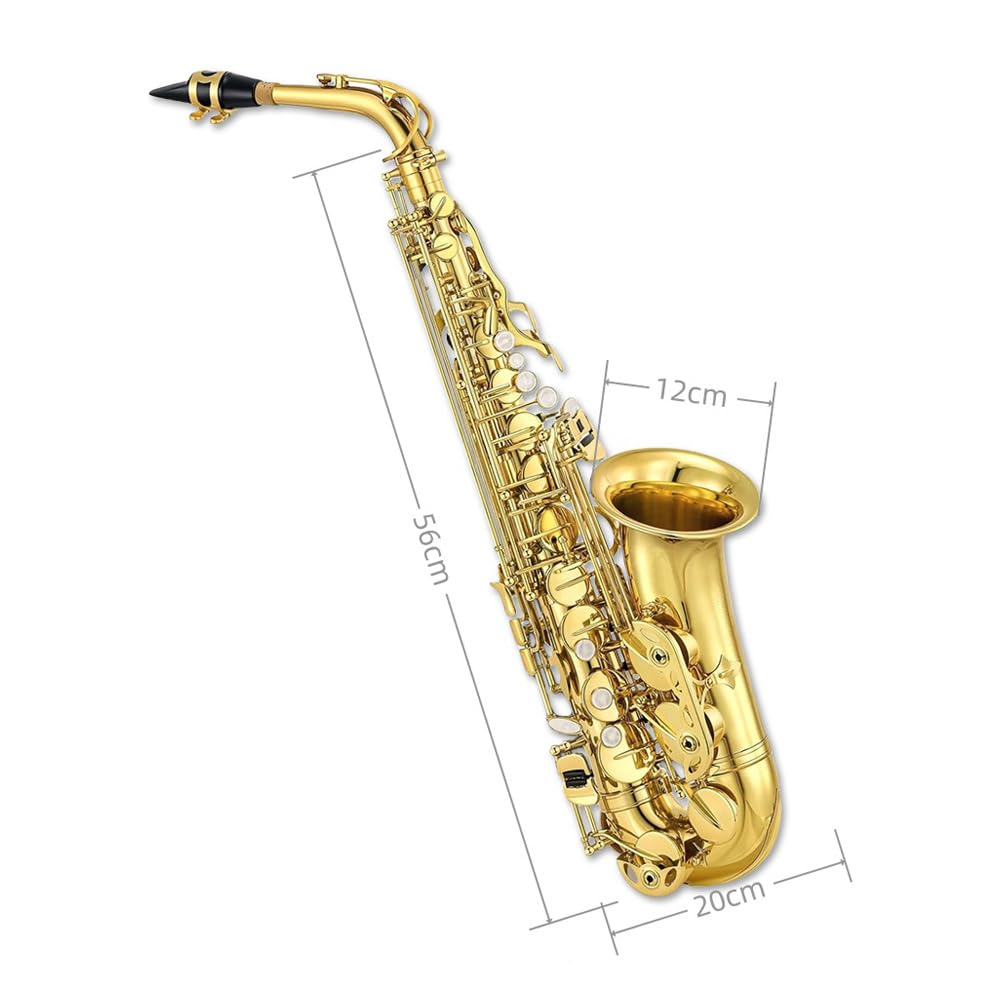 Sassofono contralto E Flat per adulti studenti Sax Mib Alto Kit completo con custodia per sax per il trasporto Bocchino cinghie ance sassofono kit per principianti