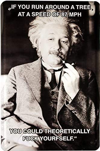 Cartel de chapa divertido Albert Einstein con texto en inglés "If You Run Around a Tree, at a Speed of 87 MPH ." decorativo, cartel de metal, regalo divertido para cumpleaños o Navidad, 20 x 30 cm