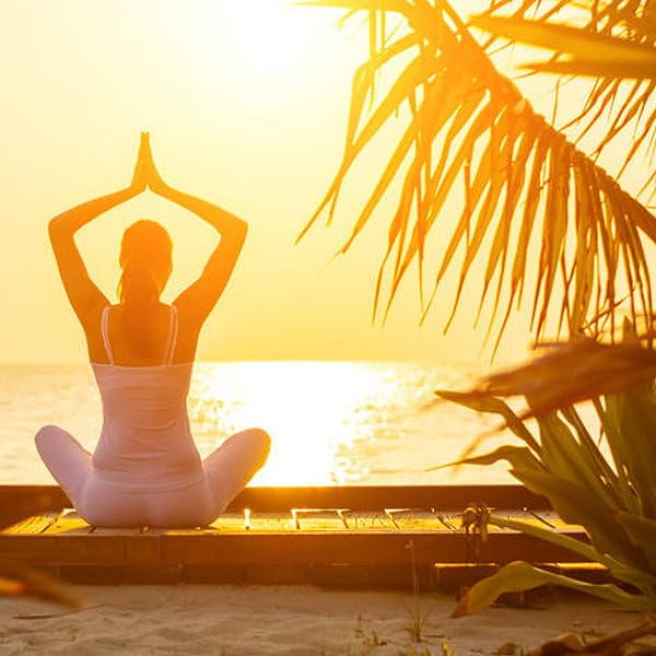 Johanniskraut + ALLE 38 Bachblüten Bioresonanz- Globuli. Multipower für positive Energieversorgung, Lebenskraft und Resilienz. LESEN !! Vorteils-Set von Sonnenherz