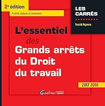 Download L'essentiel des grands arrêts du droit du travail PDF