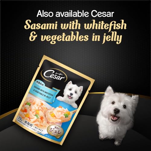 Image of Cesar Premium Adult Wet Dog Food, Sasami with Cheese & Vegetables in Jelly, 70gm