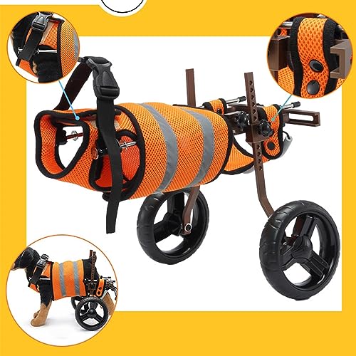 Silla de ruedas para perros en paseos cotidianos de mascotas con parálisis 3