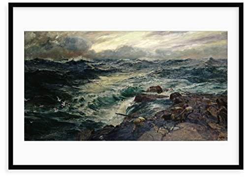 Magnolia Box Uccelli di preda di Charles Napier