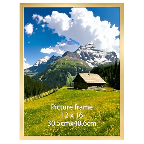Ditwis Cornice 30x40 Oro, per Poster, Foto, Opere d'Arte e Puzzle 40x30 cm, Portafoto da Parete per Casa, Ufficio e Gallerie