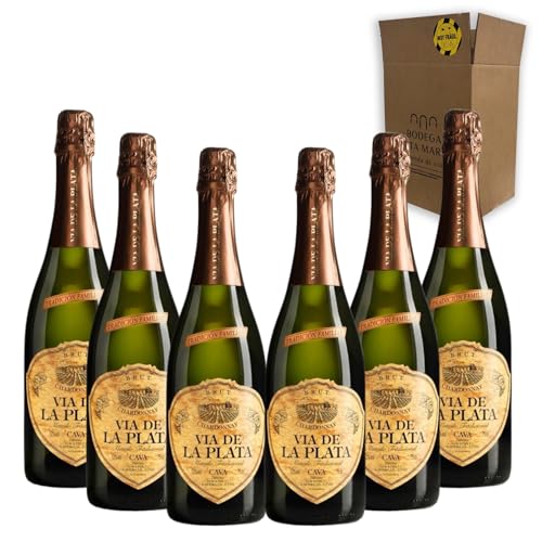 Vía de la Plata Chardonnay Brut - Para Disfrutar en Celebraciones y con los Tuyos - Pack 6 Botellas 75cl
