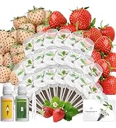 Small manufacture image 8