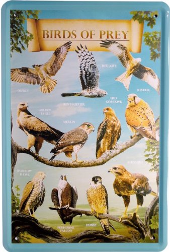 Tin Sign Retro Advert 20 x 30 cm Metal Birds of Prey Birds The Prairie 941