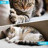 Kratzschutzfolie für Katzen, 5m, Selbstklebende Kratzmatte für Möbel, Sofas und Wände, Wiederverwendbar, Kratzschutz Wand, Schutz vor Kratzern durch Katzen und Hunde