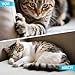 Kratzschutzfolie für Katzen, 5m, Selbstklebende Kratzmatte für Möbel, Sofas und Wände, Wiederverwendbar, Kratzschutz Wand, Schutz vor Kratzern durch Katzen und Hunde