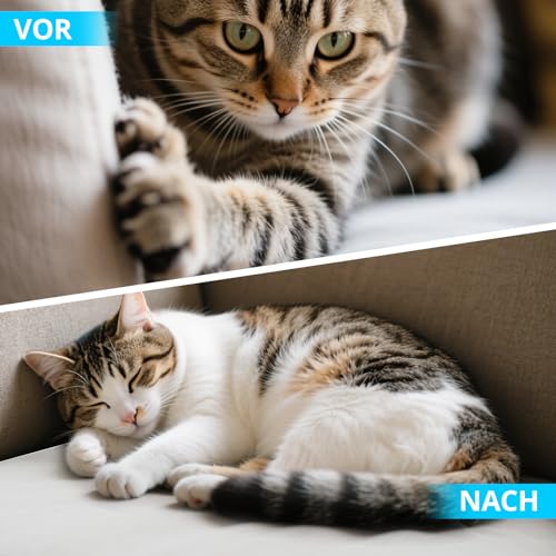 Kratzschutzfolie für Katzen, 5m, Selbstklebende Kratzmatte für Möbel, Sofas und Wände, Wiederverwendbar, Kratzschutz Wand, Schutz vor Kratzern durch Katzen und Hunde