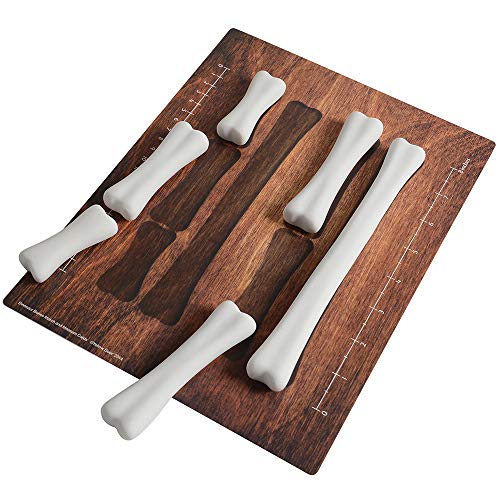 Constructive Playthings Dinosaur Bones Match & Measure Toddler Playset With Activity Cards, Stem Toys For Kids, Develops Measurement And Shape Recognition Skills, Classroom Supplies, Ages 3 Years & Up #TOP3