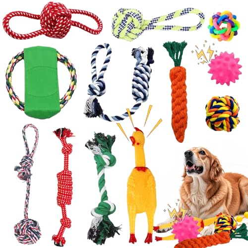 Aoksily Jouets pour Chien,12 Pièces de Jouet Chiot Chien,Corde Durable Indestructible à Mâcher pour Petit et Moyen