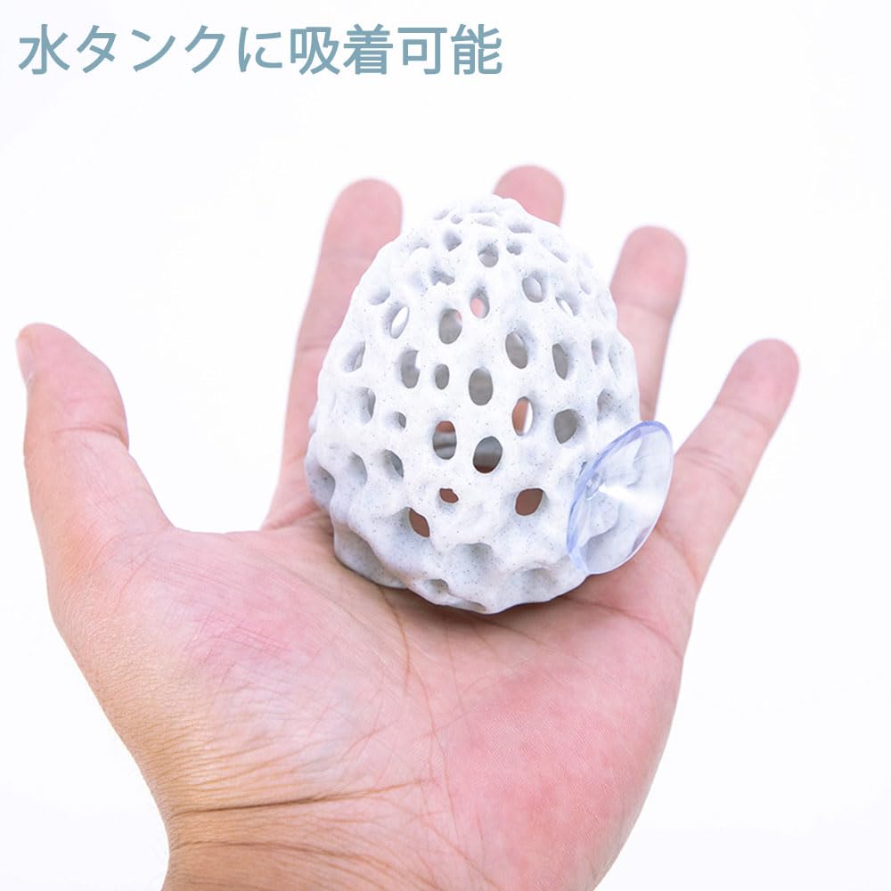 Amazon.co.jp: 多孔質模造サンゴ石のエビハウス - 吸盤付き水族館装飾