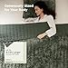 Bedsure Velvet Quilt Queen Size Set - Lightweight Velvet Comforter Queen, Luxury Bedspread Coverlet, Ultra-Soft Bedding Set with 2 Pillow Shams for All Season, 90
