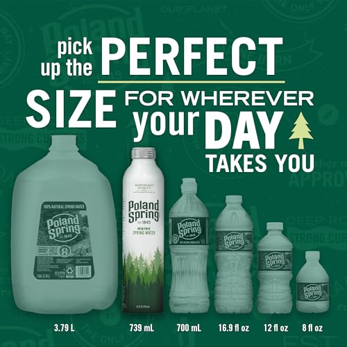 Poland Spring Maine Spring Water Aluminum Bottle – Crisp, Still Bottled Water with Naturally Occurring Minerals & Electrolytes for Taste - 12 Pack- 25 fl oz - Image 7