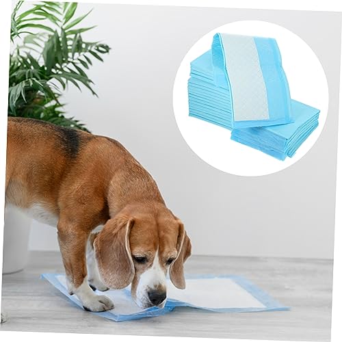 Tapis d'entraînement pour chiot étanche alèse chien imperméable - 4