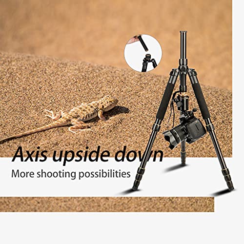 Koolehaoda K-666 Portable Camera Aluminium Tripod Monopod With Ball Head Pocket For Slr Camera #TOP3