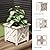 Lattice Design Outdoor Planter Box - 14.75” Square 13” Tall White Plant Pot - Decorative Plant Pots for Front Porch Decor - Flower Pots Outdoor Planters for Porch Patio or Garden Decor by Pure Garden