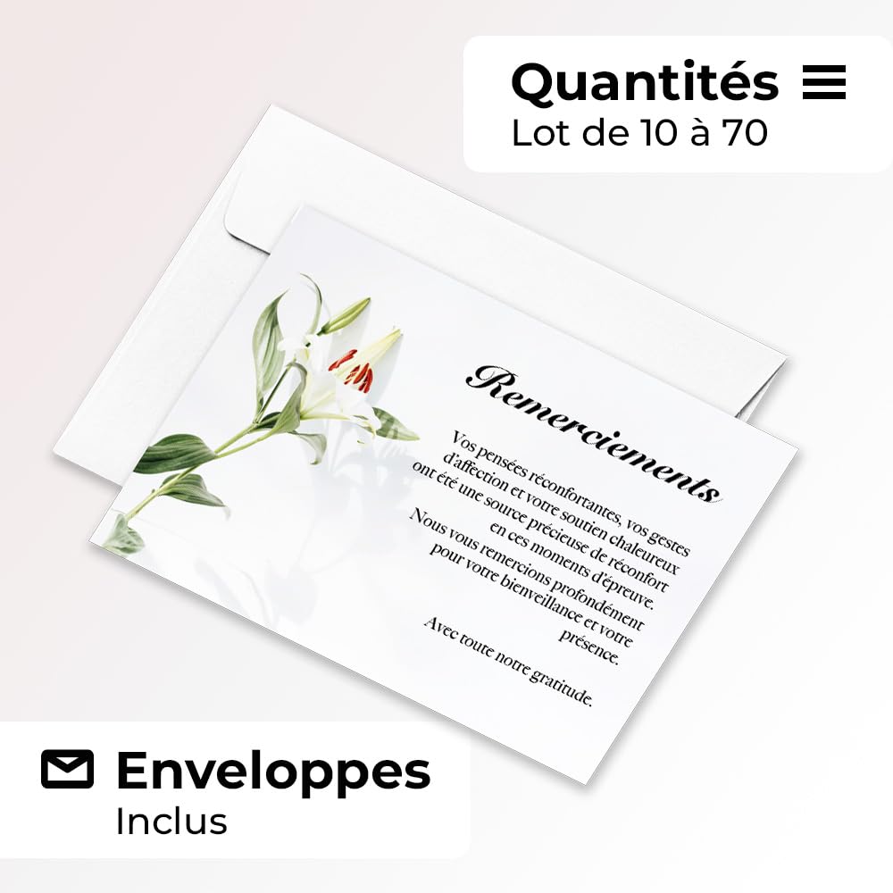 Lot de 30 Cartes Remerciement Deuil Condoléances Obsèques avec Enveloppes Format A6 Fleur de lys