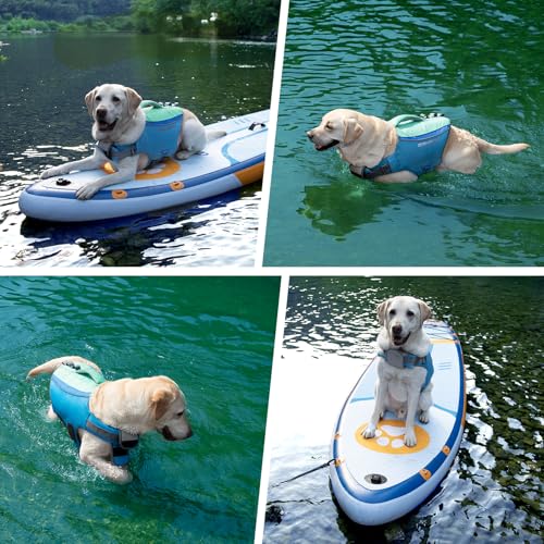 ZLX Hundeschwimmweste – Leichte Schwimmweste Hund aus Ripstop für Kleine, Mittlere & Große Hunde, Rettungsweste Hund mit Griff, Verstellbare Schwimmhilfe für Wasser, Strand & Boot