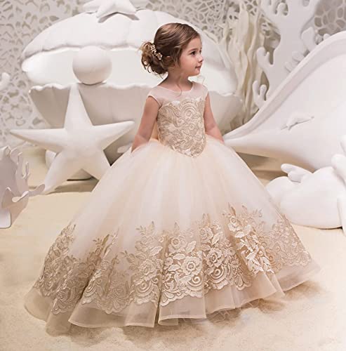 Lovely Flower Girl Dress Tulle lace Applique Princess Wedding Pageant Ball Gown4