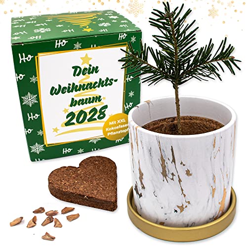 Anzuchtset