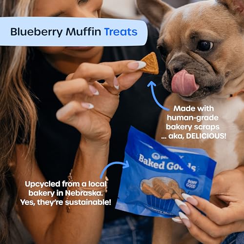 Image of French Bulldog Wellness Kit, Dog Wrinkle Wipes for Eyes, Paws, and Ears, Itchy Skin Relief, Flea Medicine, Dog Treats, Perfect Frenchie Supplies