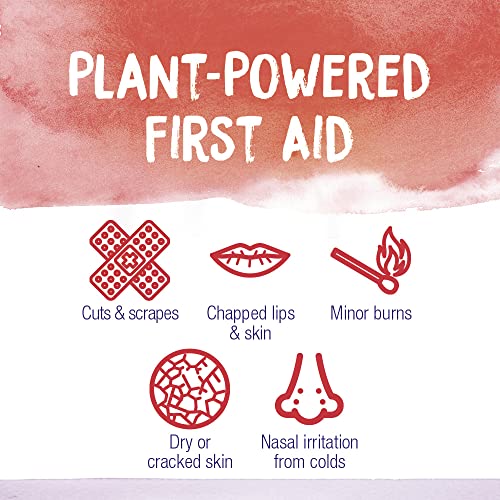 Boiron Calendula Ointment for Relief from Minor Burns, Cuts, Scrapes, and Insect Bites - 1 Oz - image 3