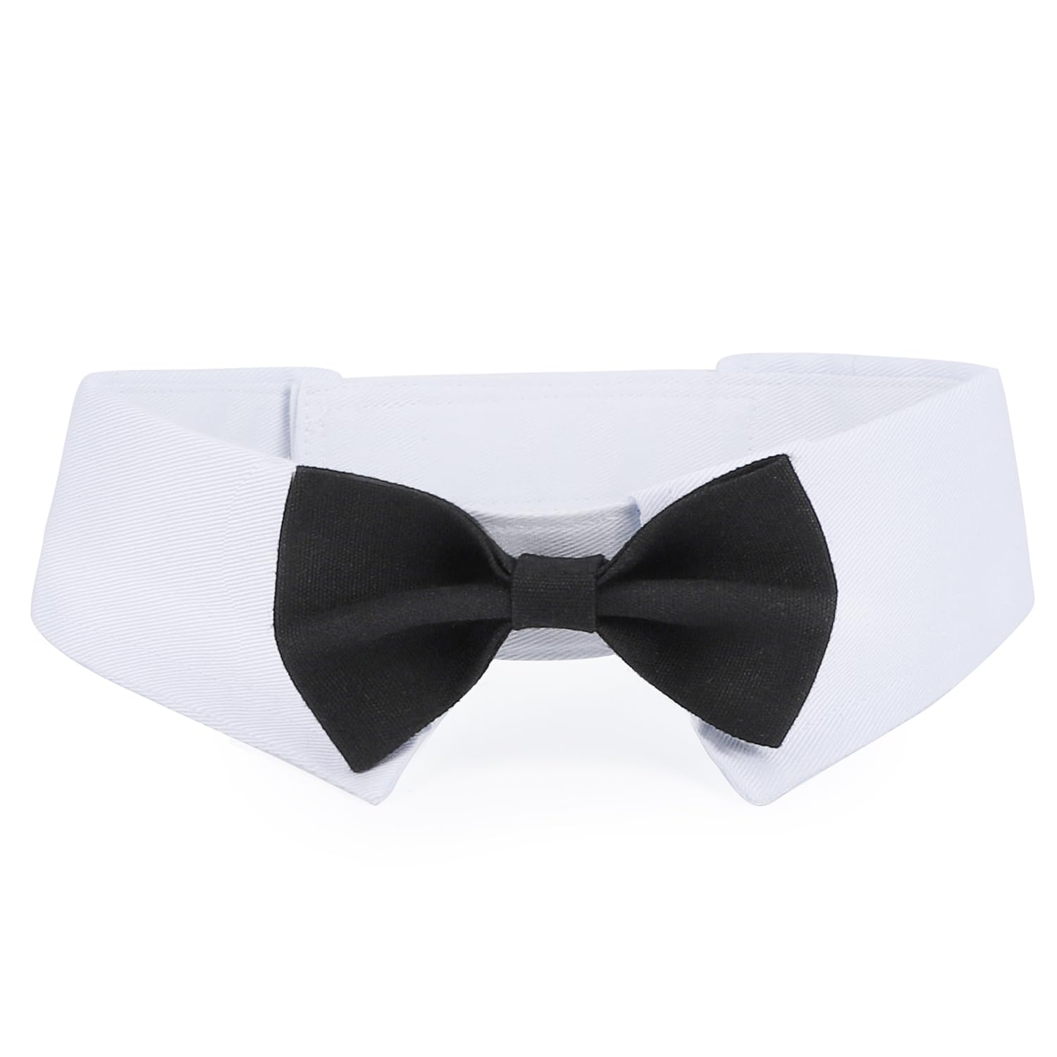 Segarty XL Bowtie Collar