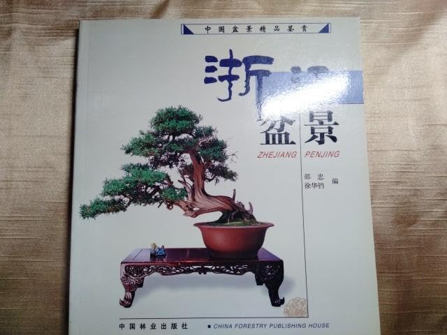 石鎚五葉松の根上り 小品盆栽 ミニ盆栽 半懸崖 H28年実生12年生