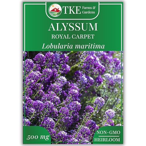 TKE Farms & Gardens - Alyssum Seeds for Planting, Royal Carpet, 1000+ Heirloom Non-GMO Flower Seeds...