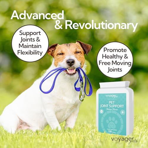 Voyager Pet Joint Support Supplement for Cats & Dogs | Chicken Flavour 120 Tablets| May Helps to Support Joints & Mobility with Glucosamine, Chondroitin, Green Lipped Mussel & MSM - Image 5